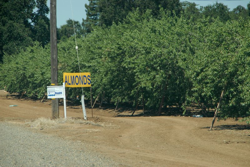 2011-07-18_San Francisco-Tag24_029.jpg